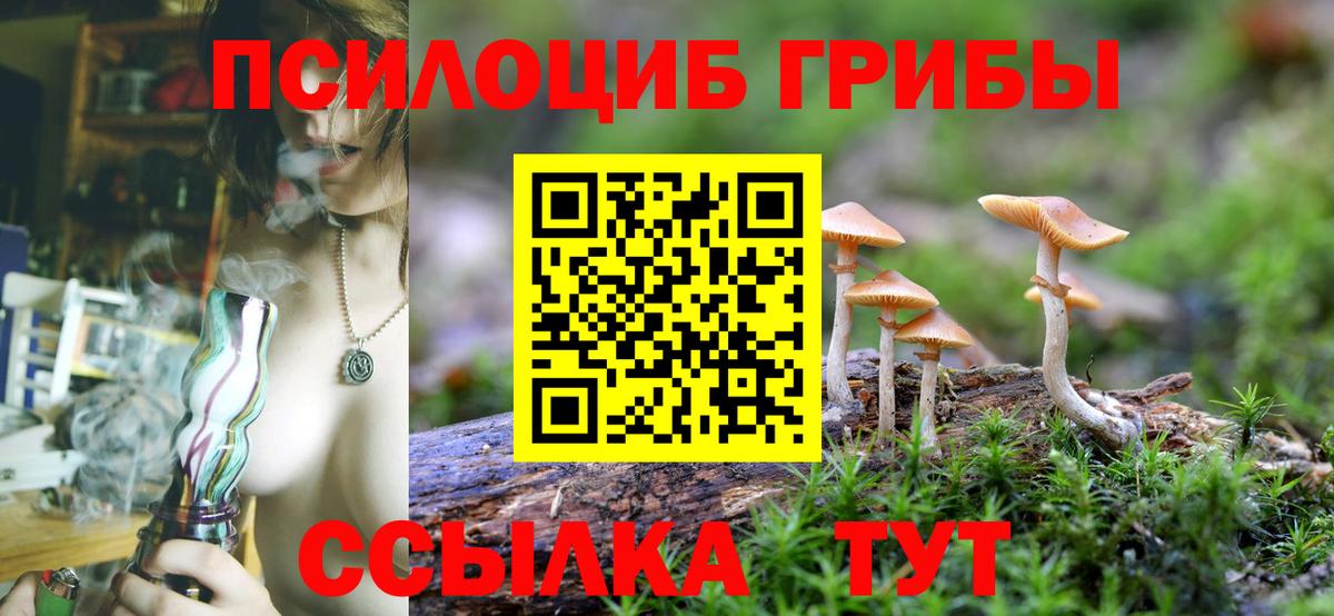 Минеральные Воды  Галлюциногенные грибы мухоморы  Вход с VPN  Галлюциногенные грибы Psilocybe 